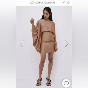 NWOT Cadence Bell Sleeve Mini Dress Size 4